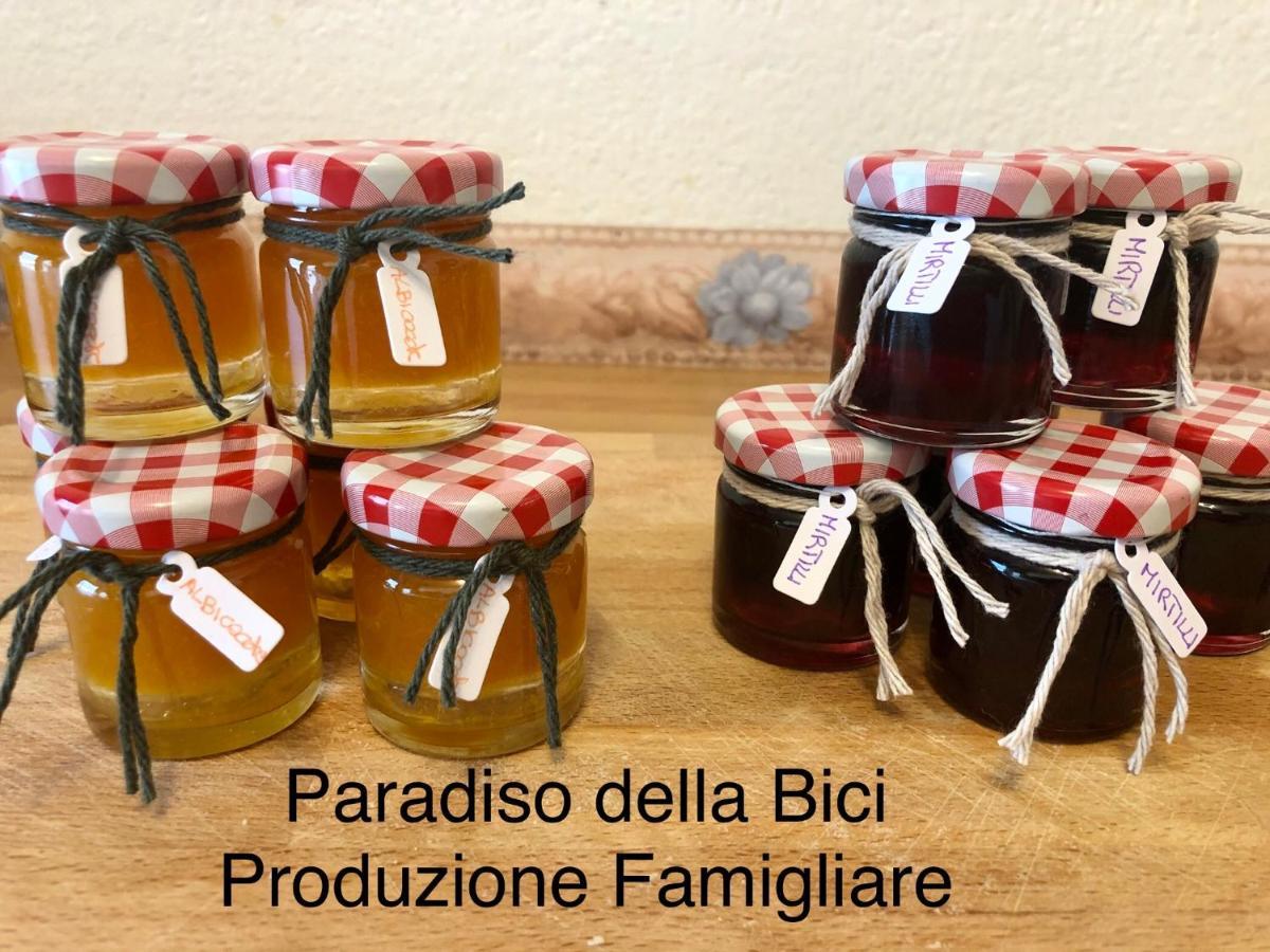 Paradiso Della Bici Morbegno Ngoại thất bức ảnh